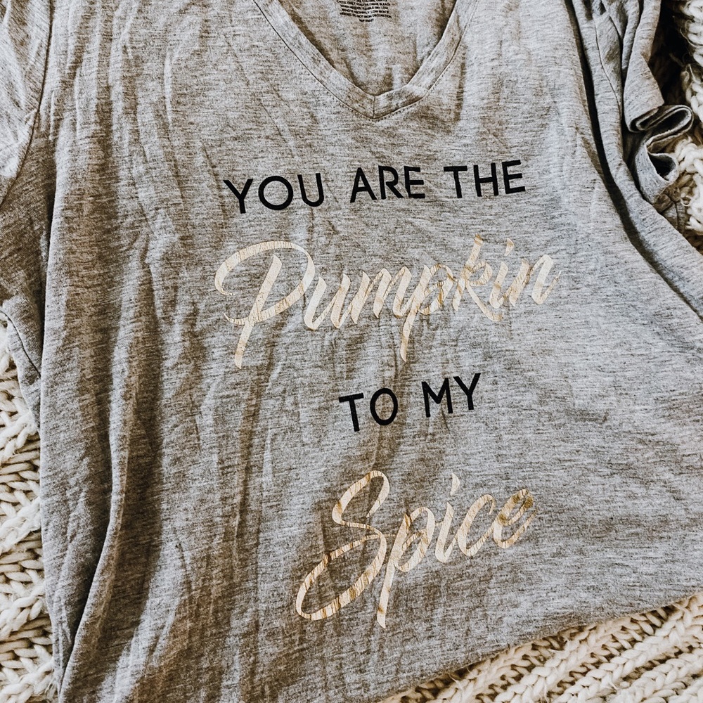 You are the pumpkin to my spice t-shirt Gray
